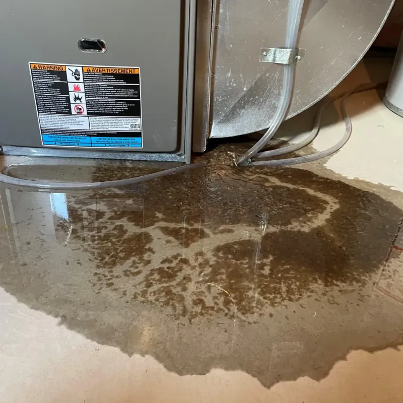 Appliance Leak Cleanup in Wingate, NC